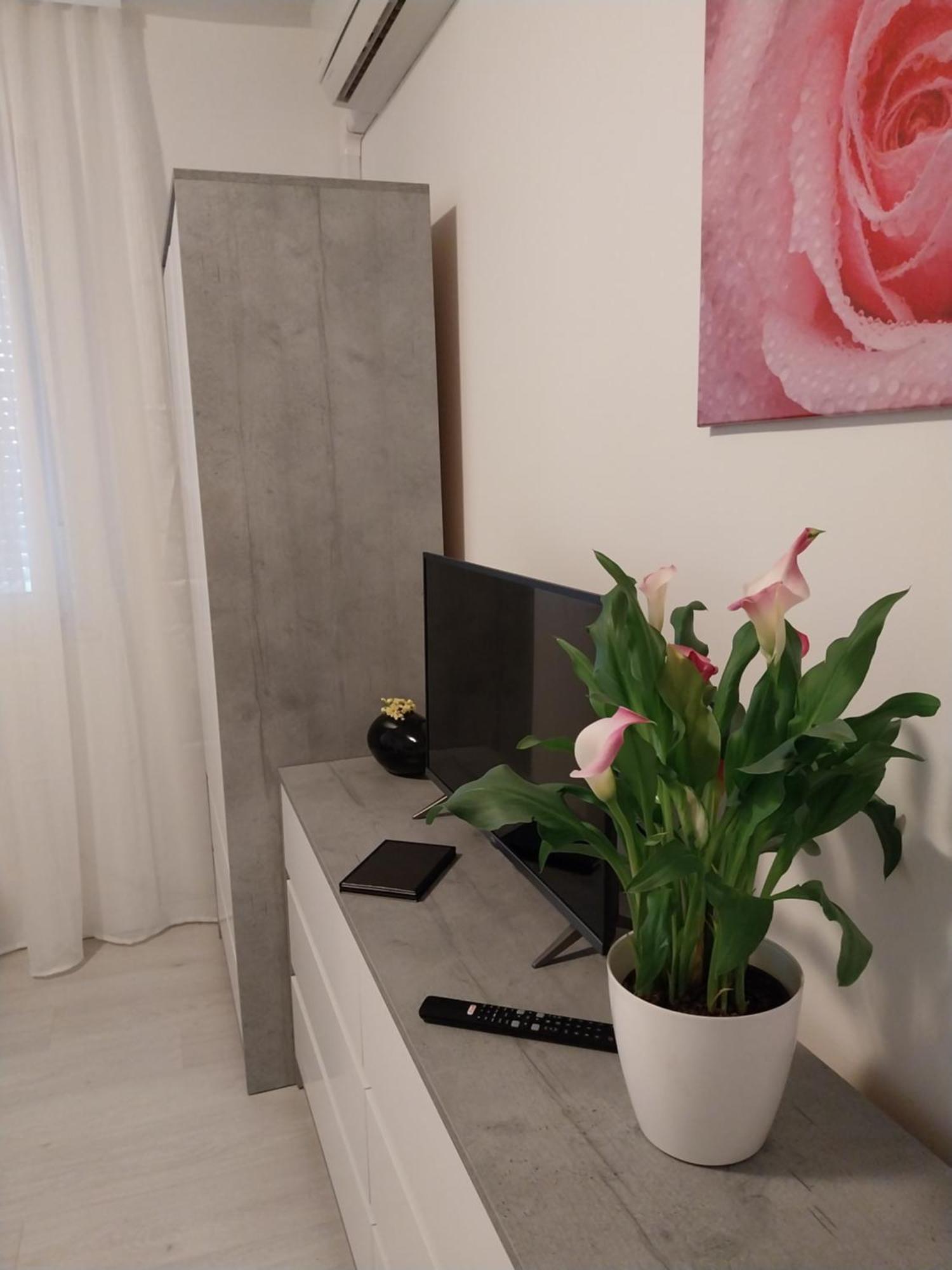 Studio M Пула Екстериор снимка